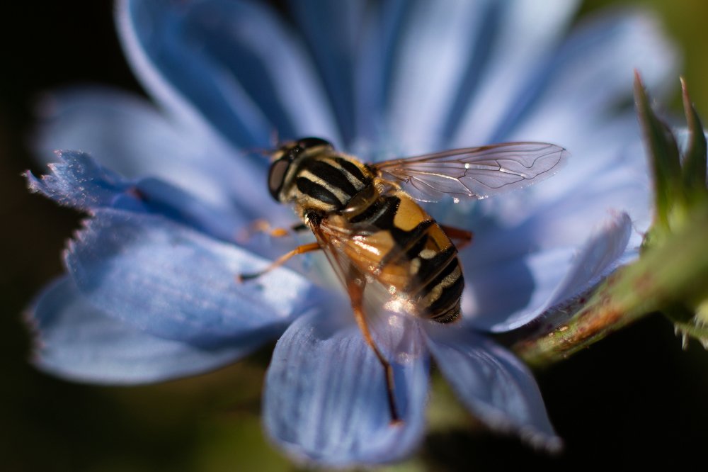 Photograph by Андрей Кульков