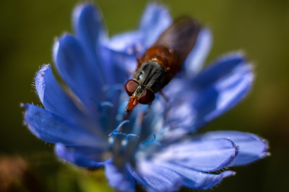 Photograph by Андрей Кульков