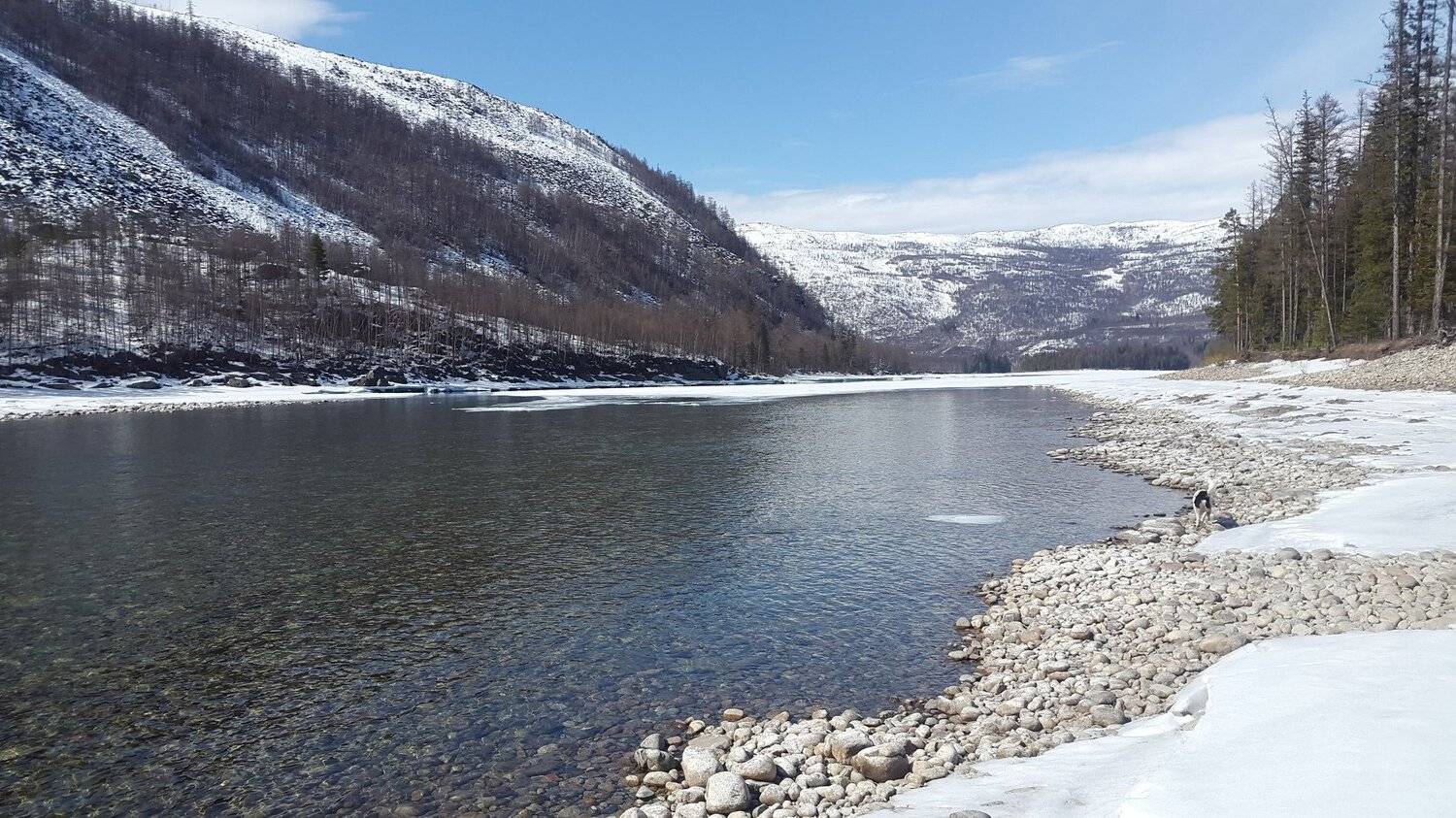 Photo #5176350