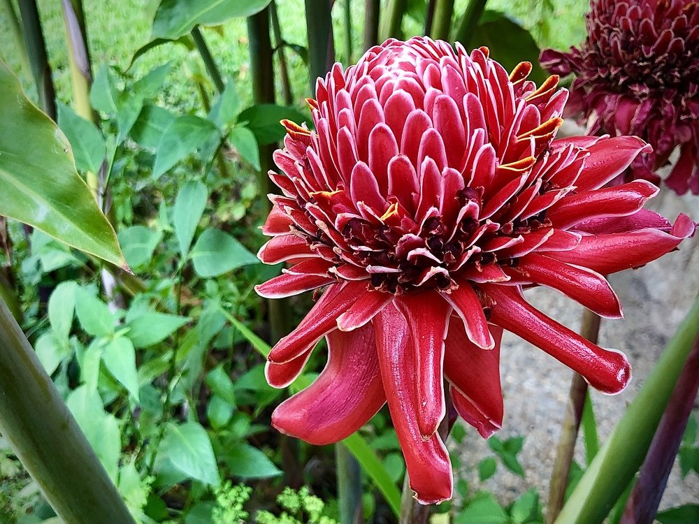 Фотография автора  Stelio