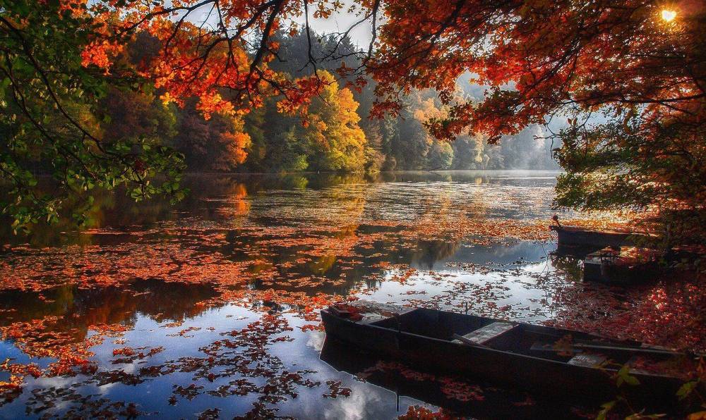 Photograph by Guy Krier