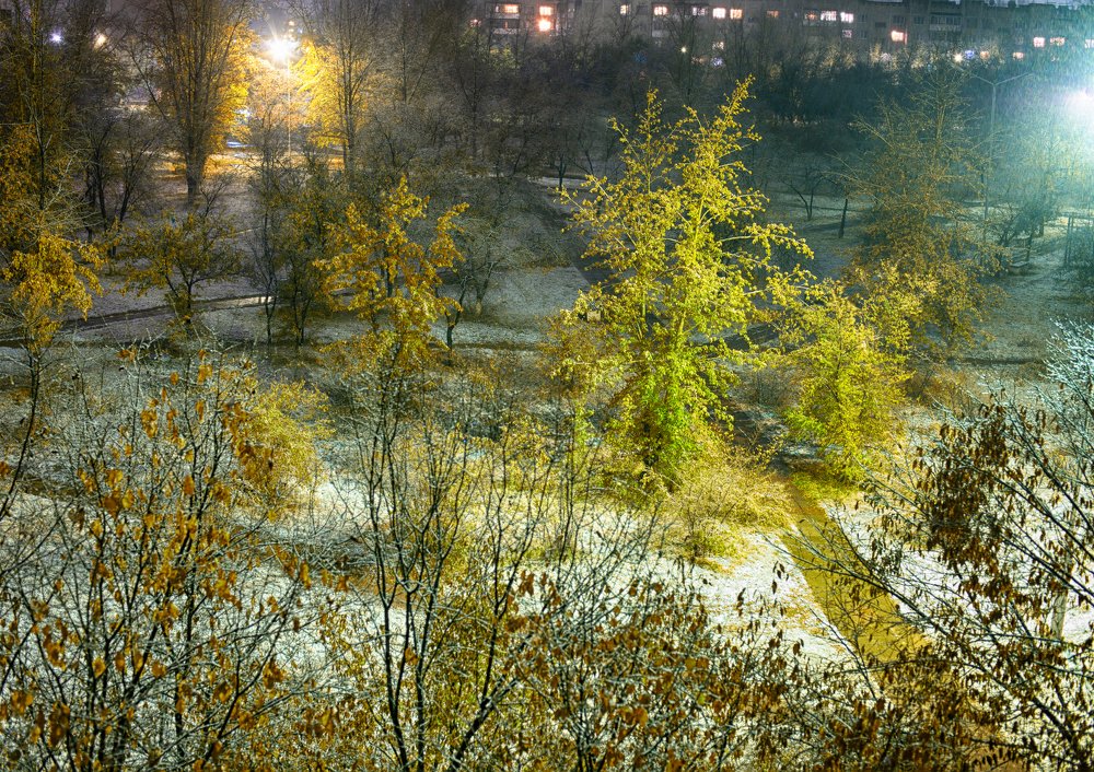 Photograph by Елена Заммоева