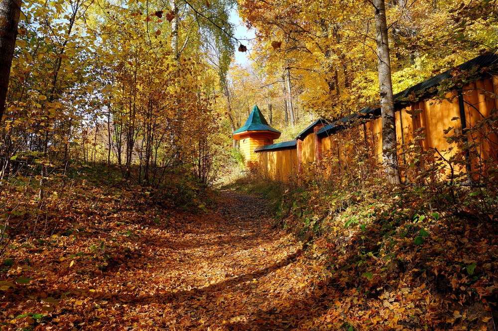 И красив он в уборе своем, Золотистой листвою одетый ...