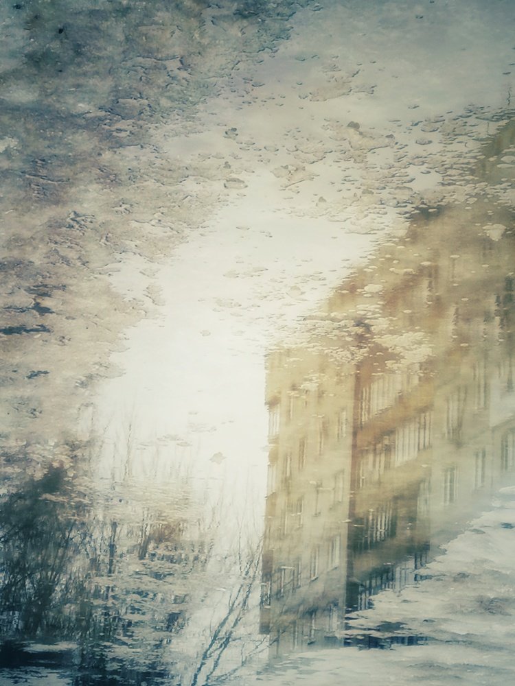 Photograph by Анастасия Чепурнова