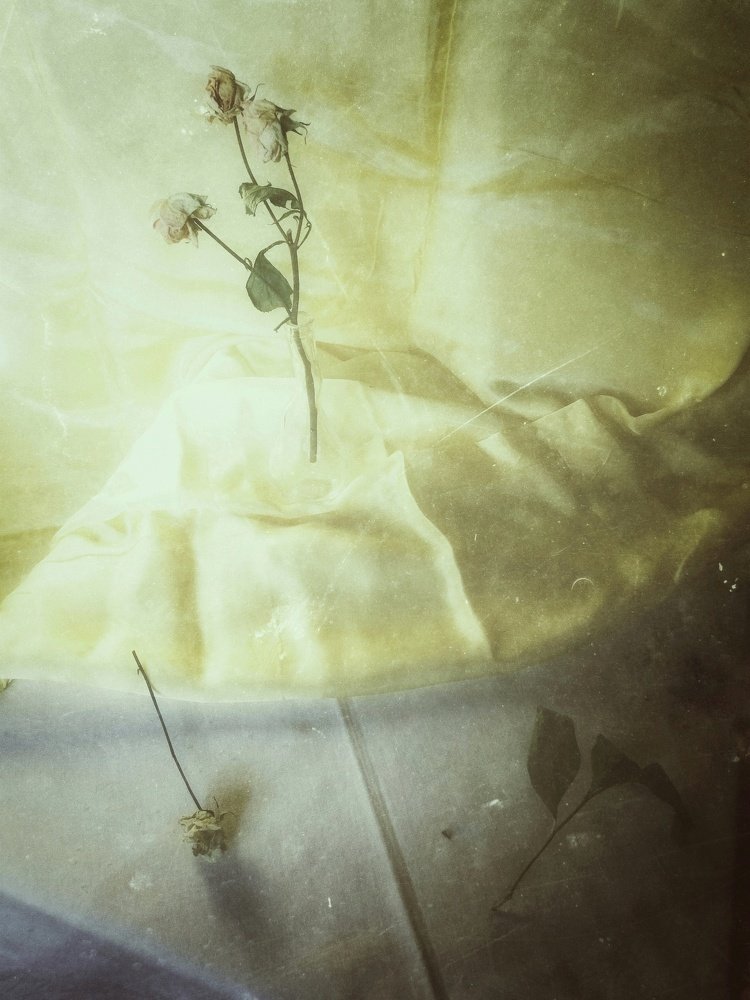 Photograph by Анастасия Чепурнова