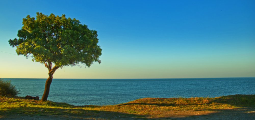 Незнакомый утриш