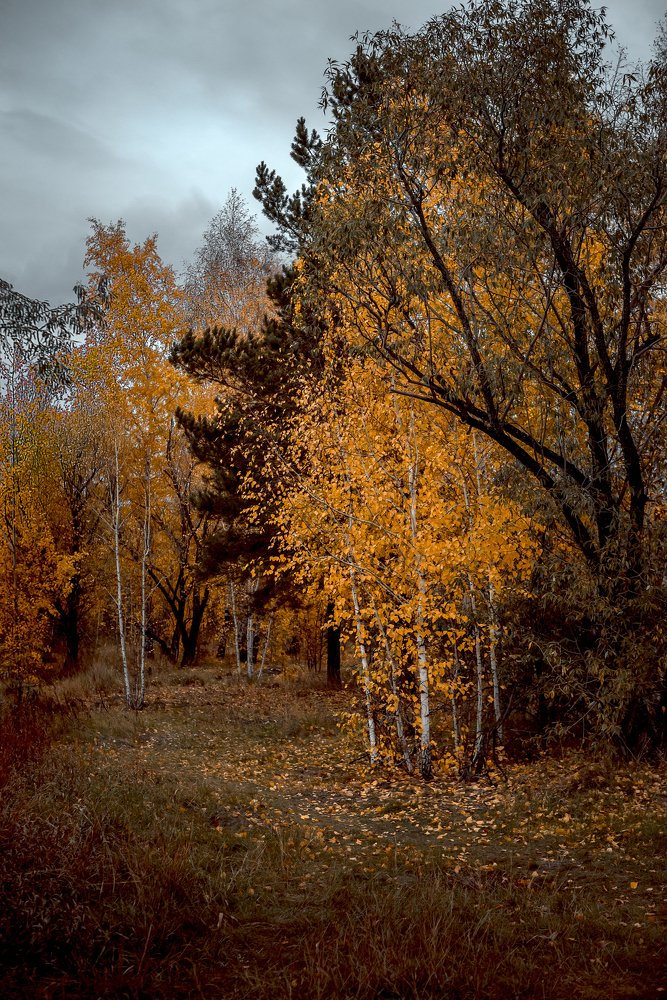 Photograph by Корнеевец Мария