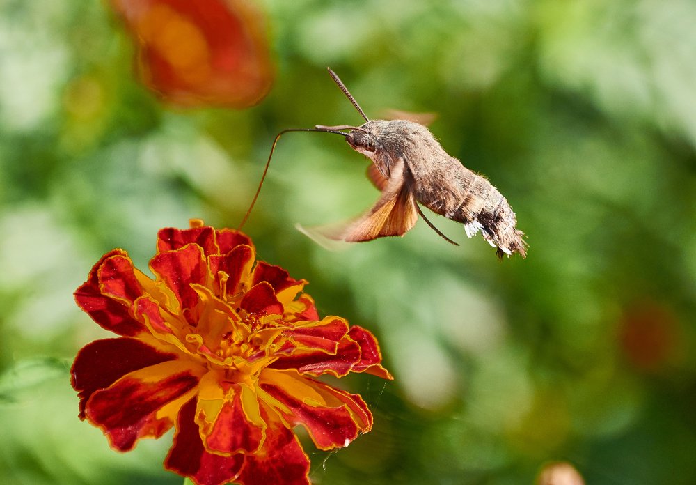 Photograph by Валерий Гончаров