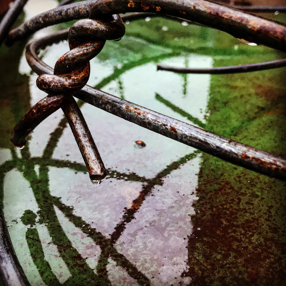 Photograph by Саровская Ника
