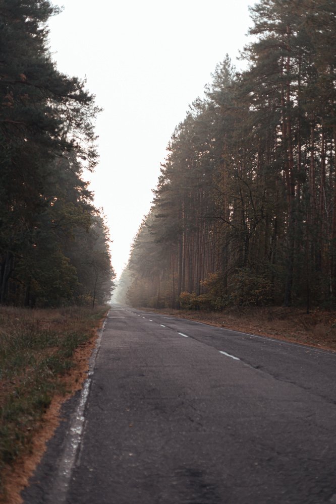 Photograph by Любов Шарко