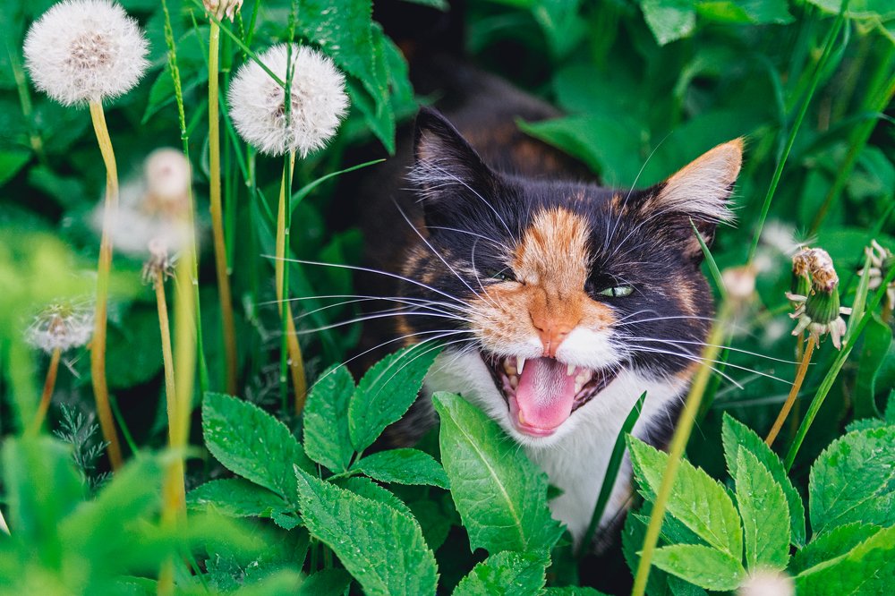 Photograph by Лапенкова Ольга