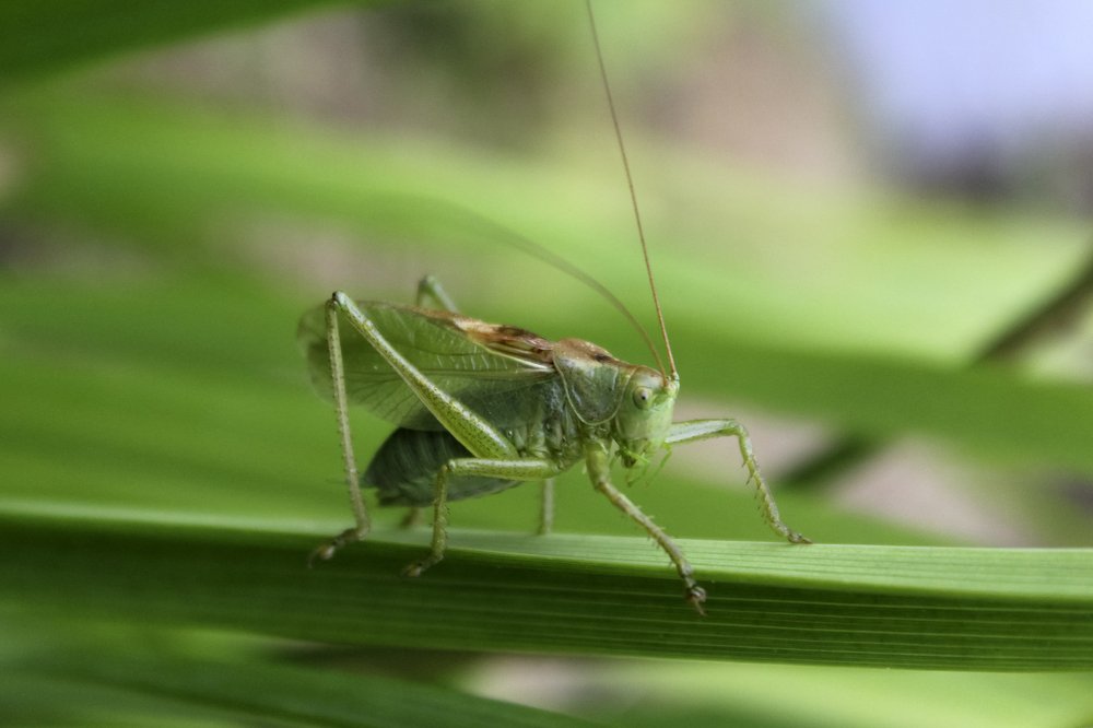 Photograph by Утёмов Сергей