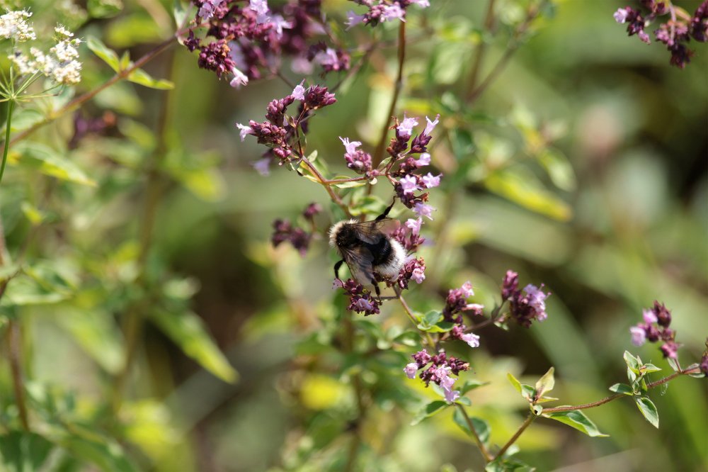 Photograph by Утёмов Сергей