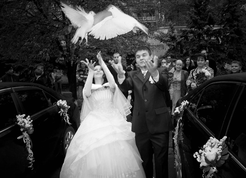 Photograph by Петро Гаврилюк