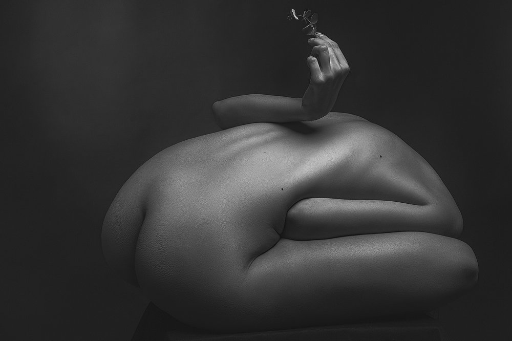 Фотография автора Александр Сергиенко