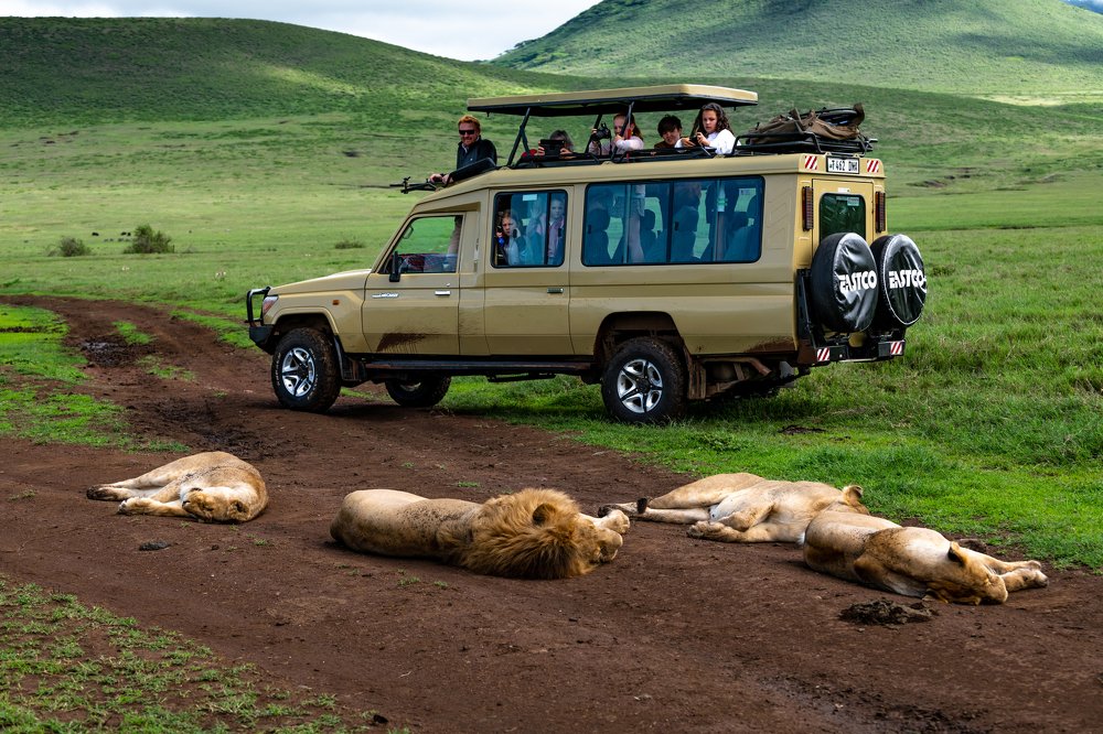 Photograph by Дмитрий Николаев