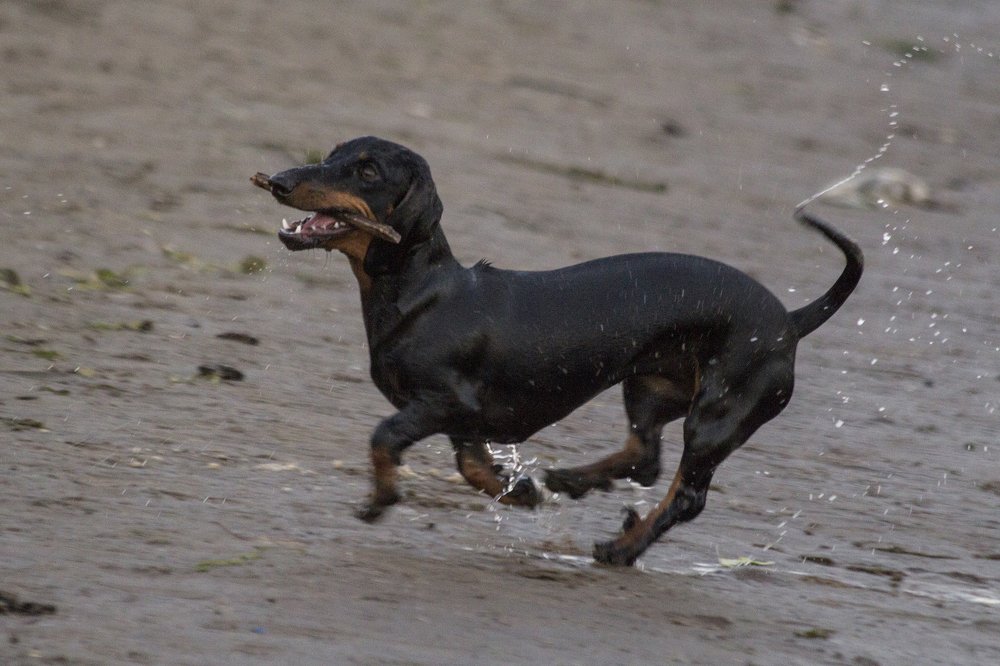 Photograph by Утёмов Сергей