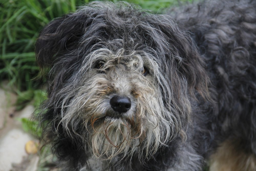 Photograph by Утёмов Сергей