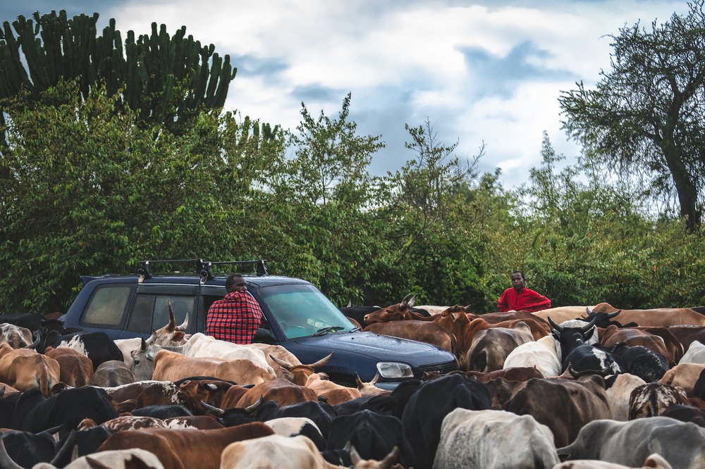 Photograph by Дмитрий Николаев