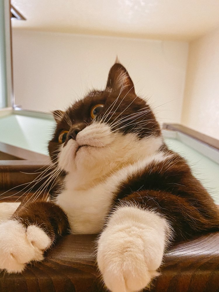 Photograph by Анастасия