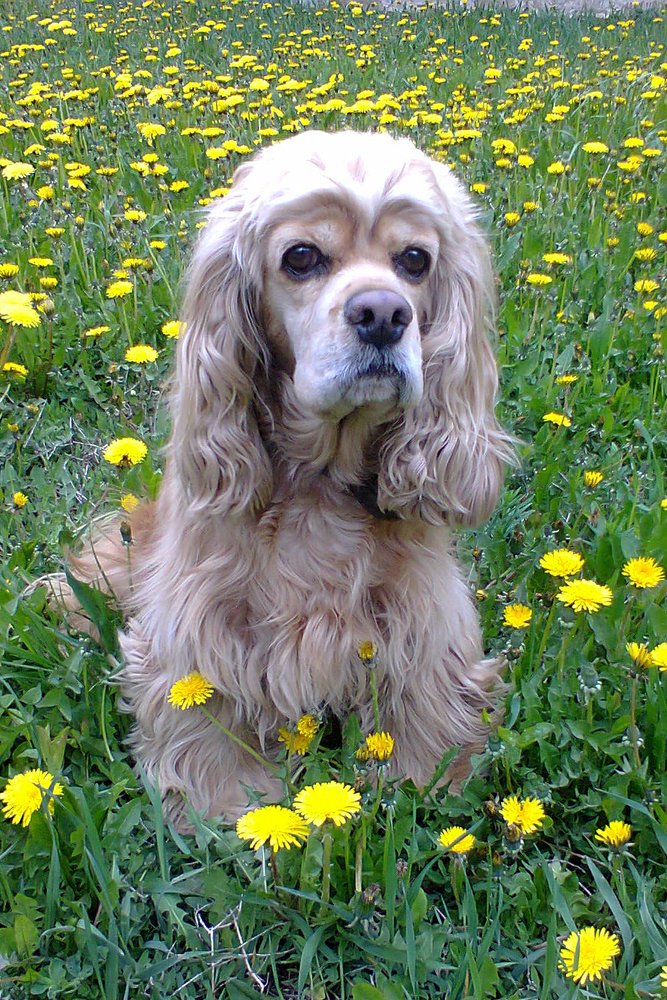 Photograph by Олег Машковский