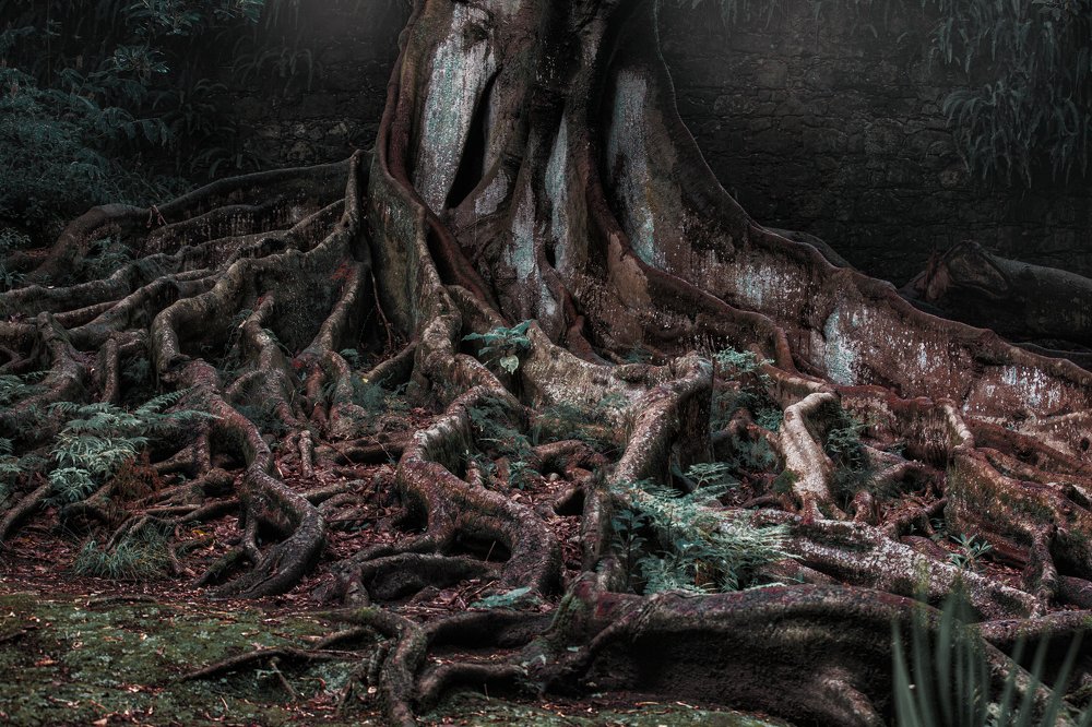 Photograph by Tetyana Vysochanska