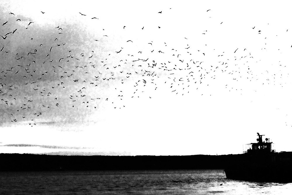 Photograph by Irina Magdalena Bivolaru