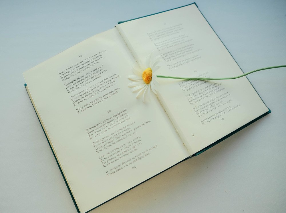 Фотография автора Ольга Забрянская