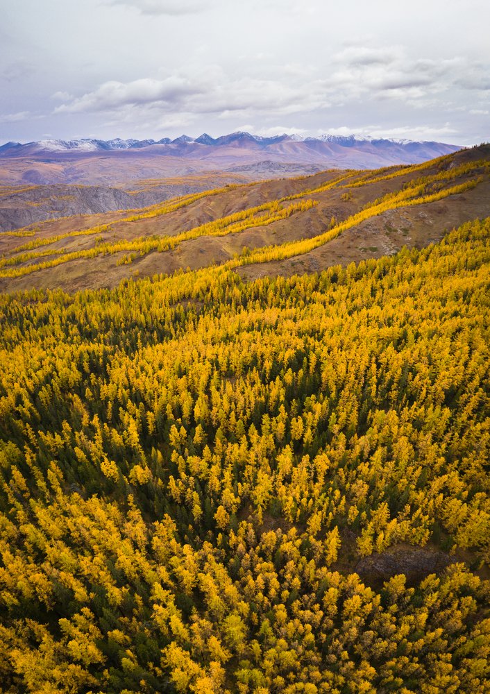 Photograph by Максим Забаровский