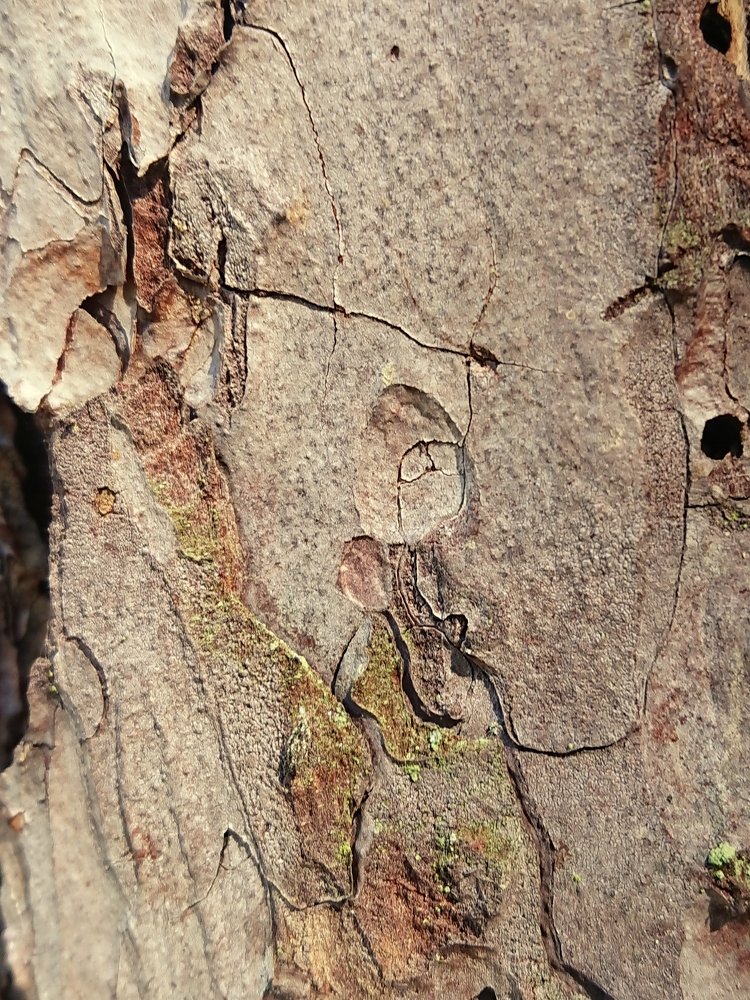 Photograph by Ludmila Batakova