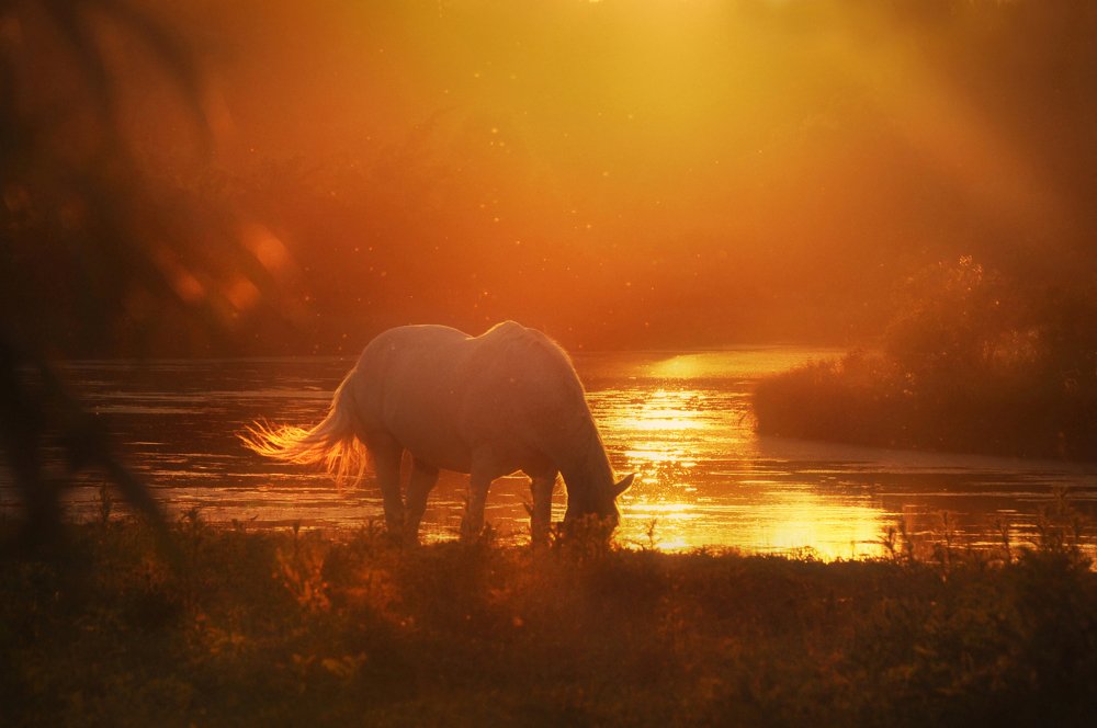 Photograph by Инна Буглак