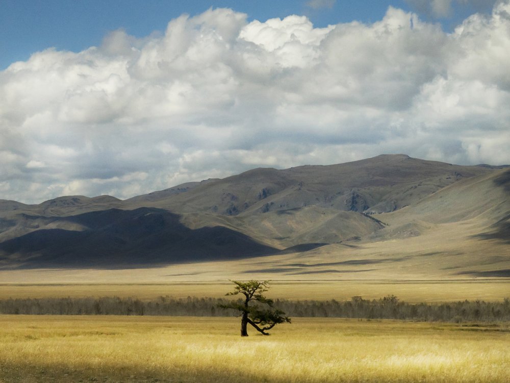 Photograph by Ольга Беккер