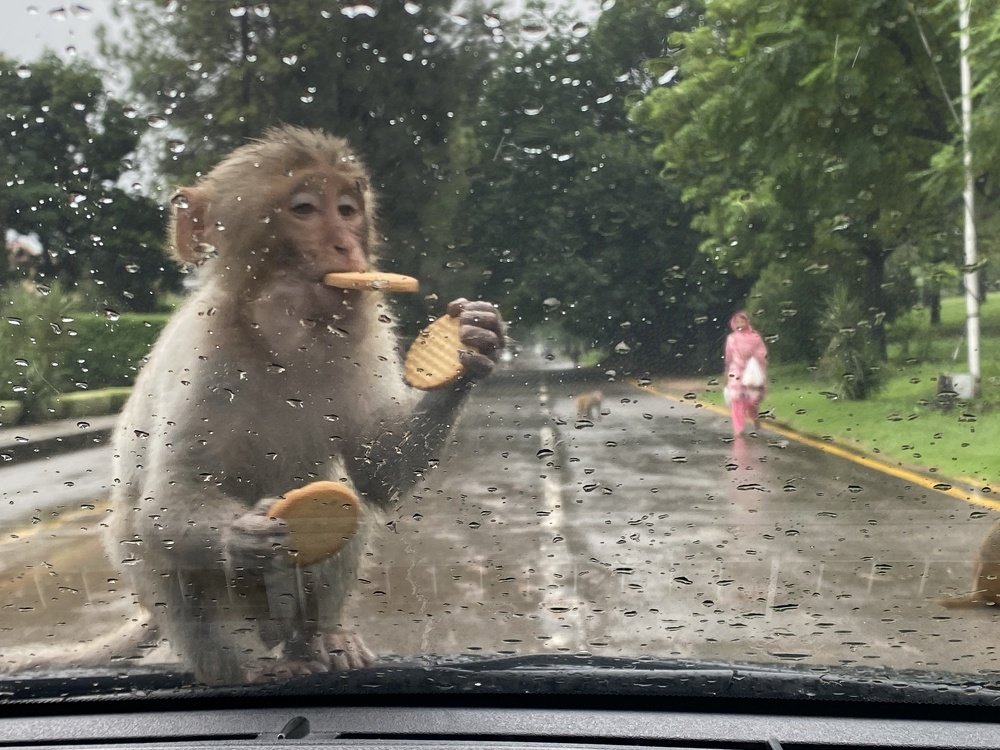 Photograph by Imrana Kousar