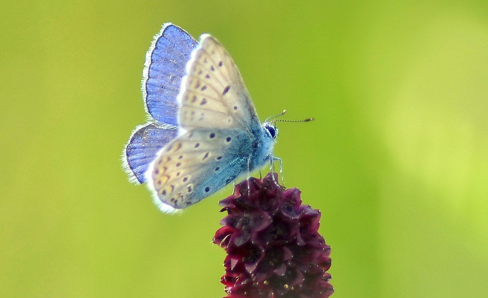 Photograph by Александр Кочуркин