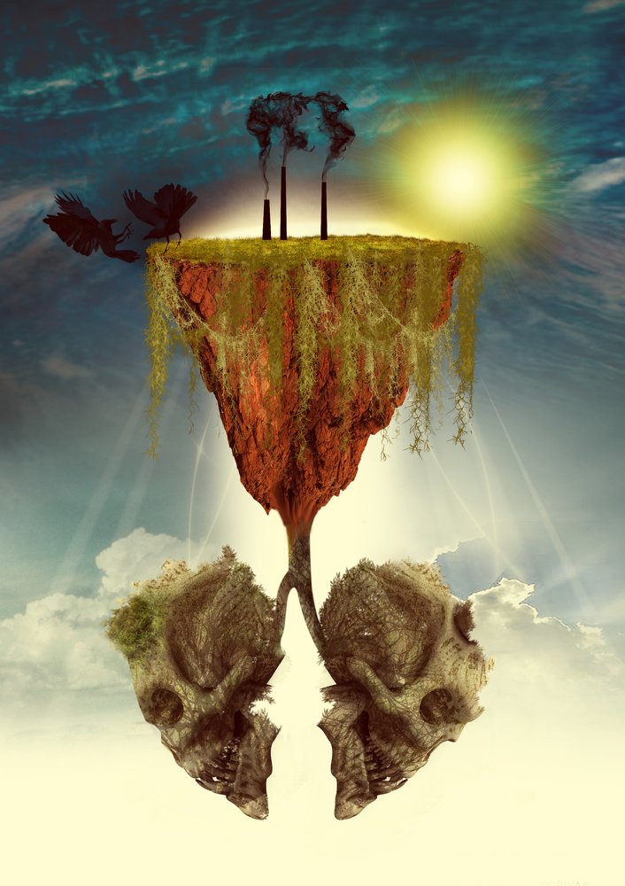 Photograph by Danushka Tharanga Wijesooriya Danushka