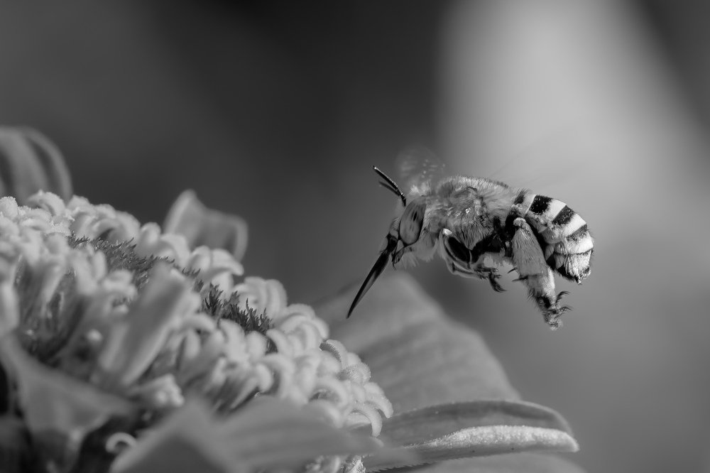 Photograph by Vahid Yavari