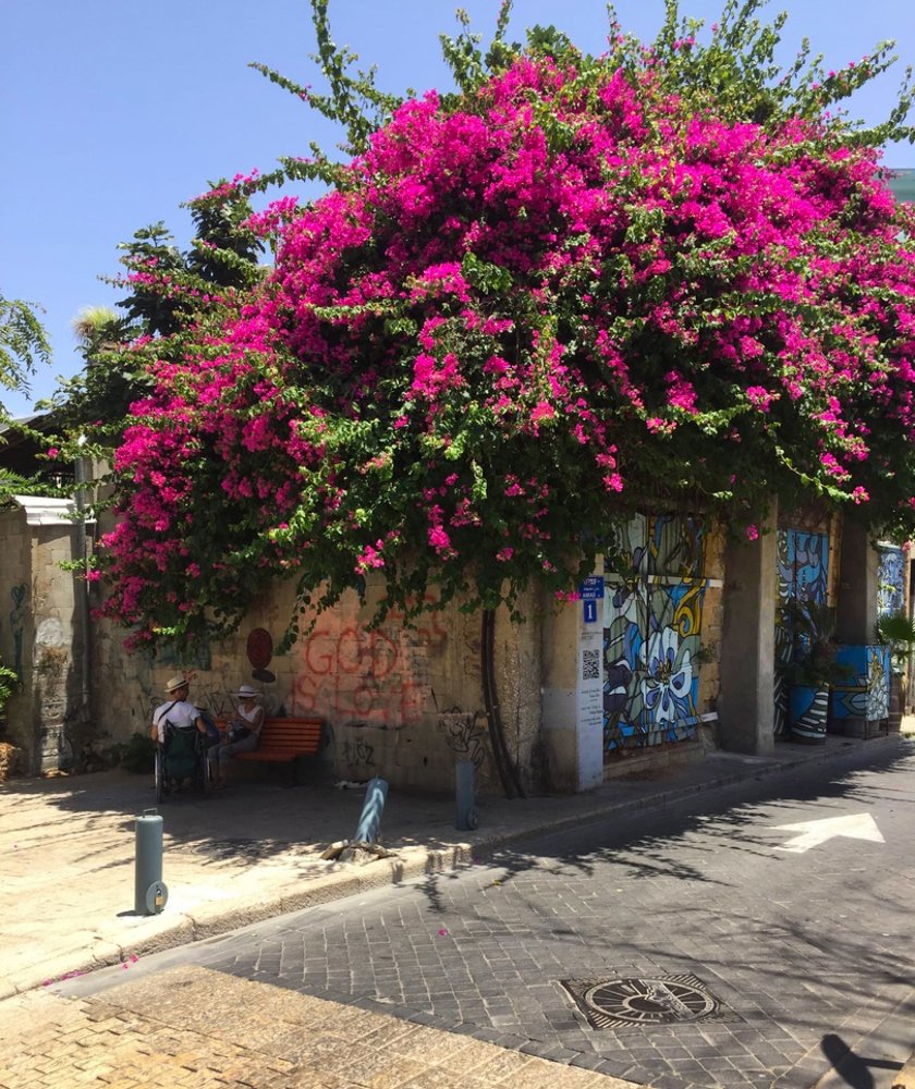 Фотография автора Ольга Забрянская