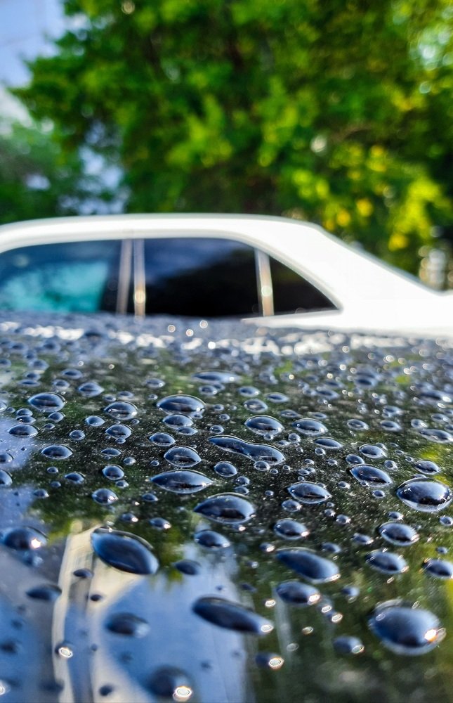 Photograph by Дамир Давронов