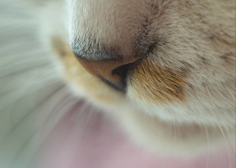 Фотография автора Анна Кравченко