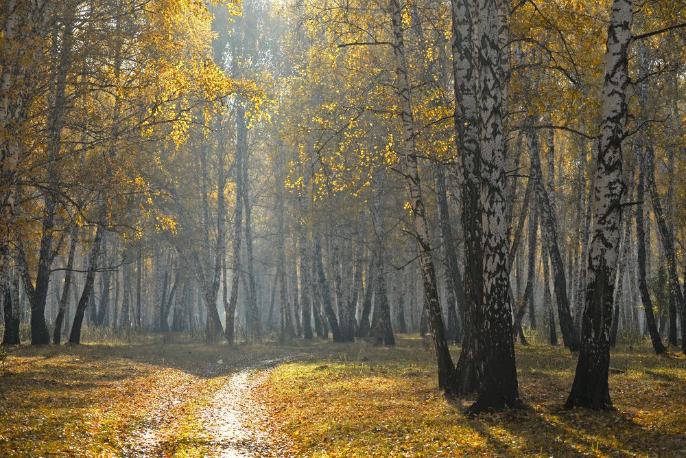 Photograph by Степанов Константин