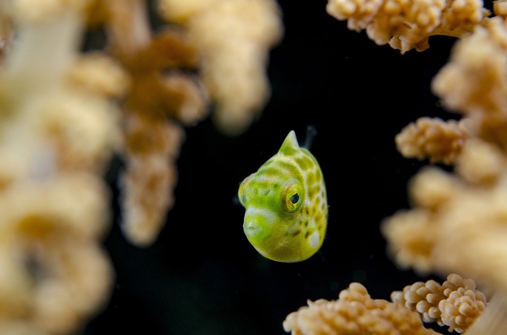 Photograph by EELIN Chan