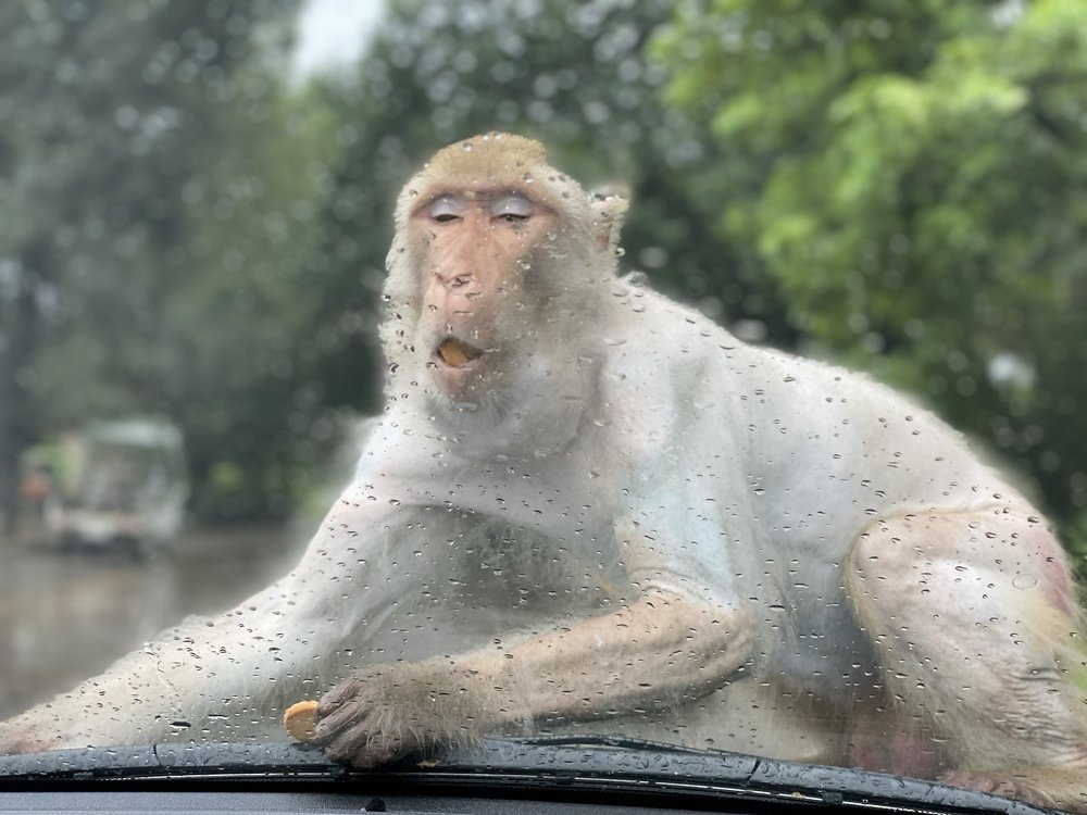 Photograph by Imrana Kousar