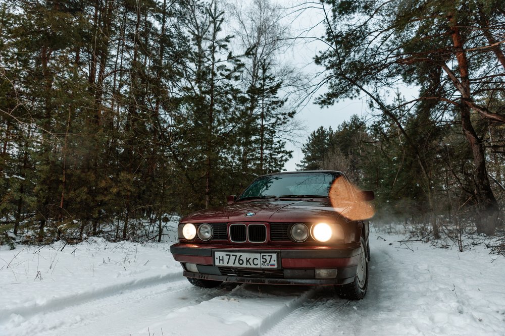 Photograph by Алла Руснак