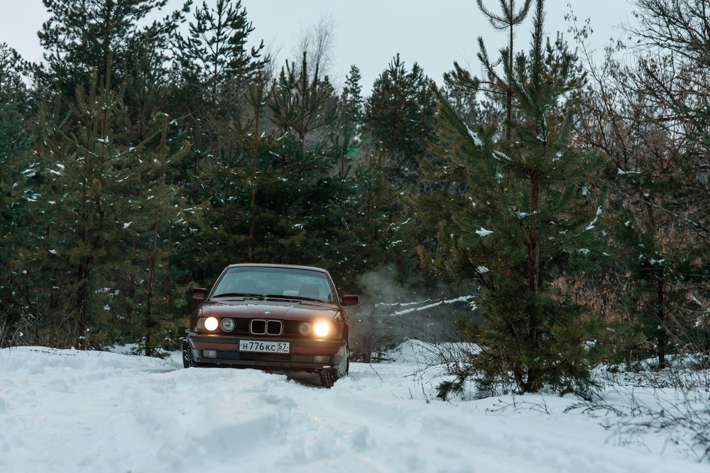 Photograph by Алла Руснак