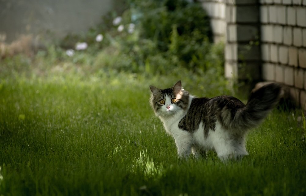 Photograph by Алексей Лебедев