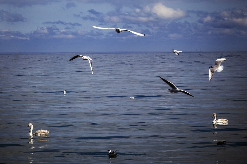 Photograph by Андрей Устинович