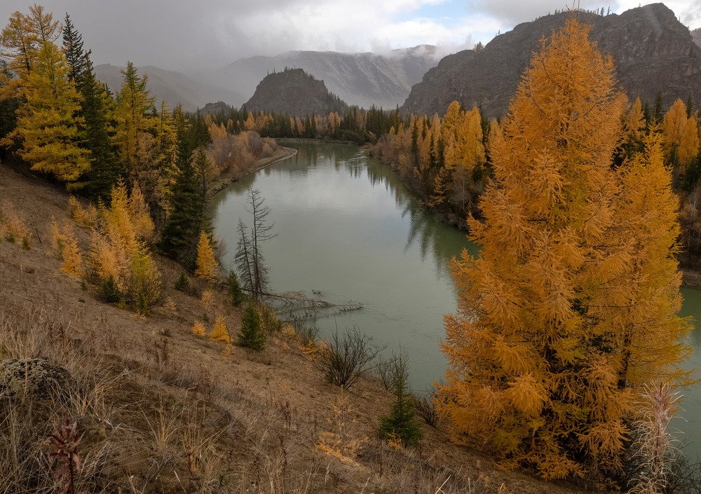 Photograph by Марина Фомина