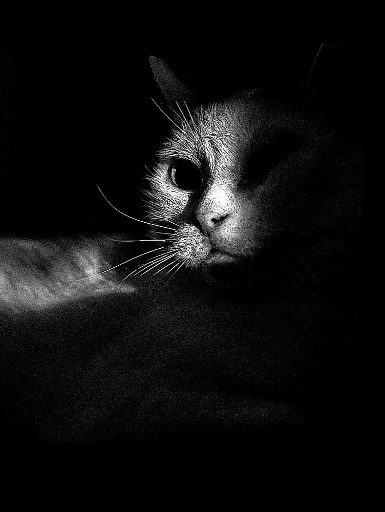 Ночной дозор