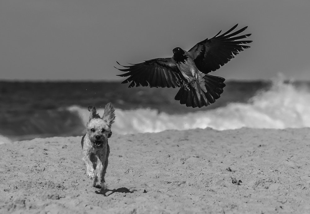 Photograph by Igor Tourovski