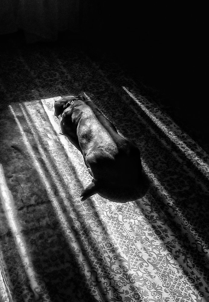 Photograph by Сергей Абрамов